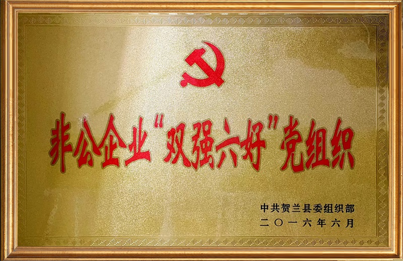 非公企業(yè)雙強(qiáng)六好黨組織2016 4.jpg