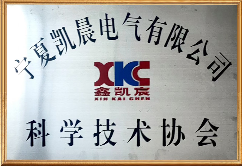 科學(xué)技術(shù)協(xié)會(huì) 6.jpg